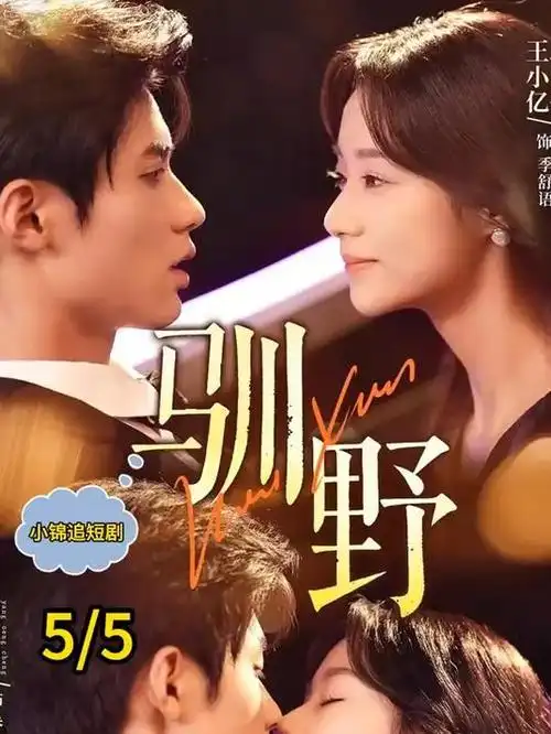 替嫁新娘 小莉影院甜宠短剧